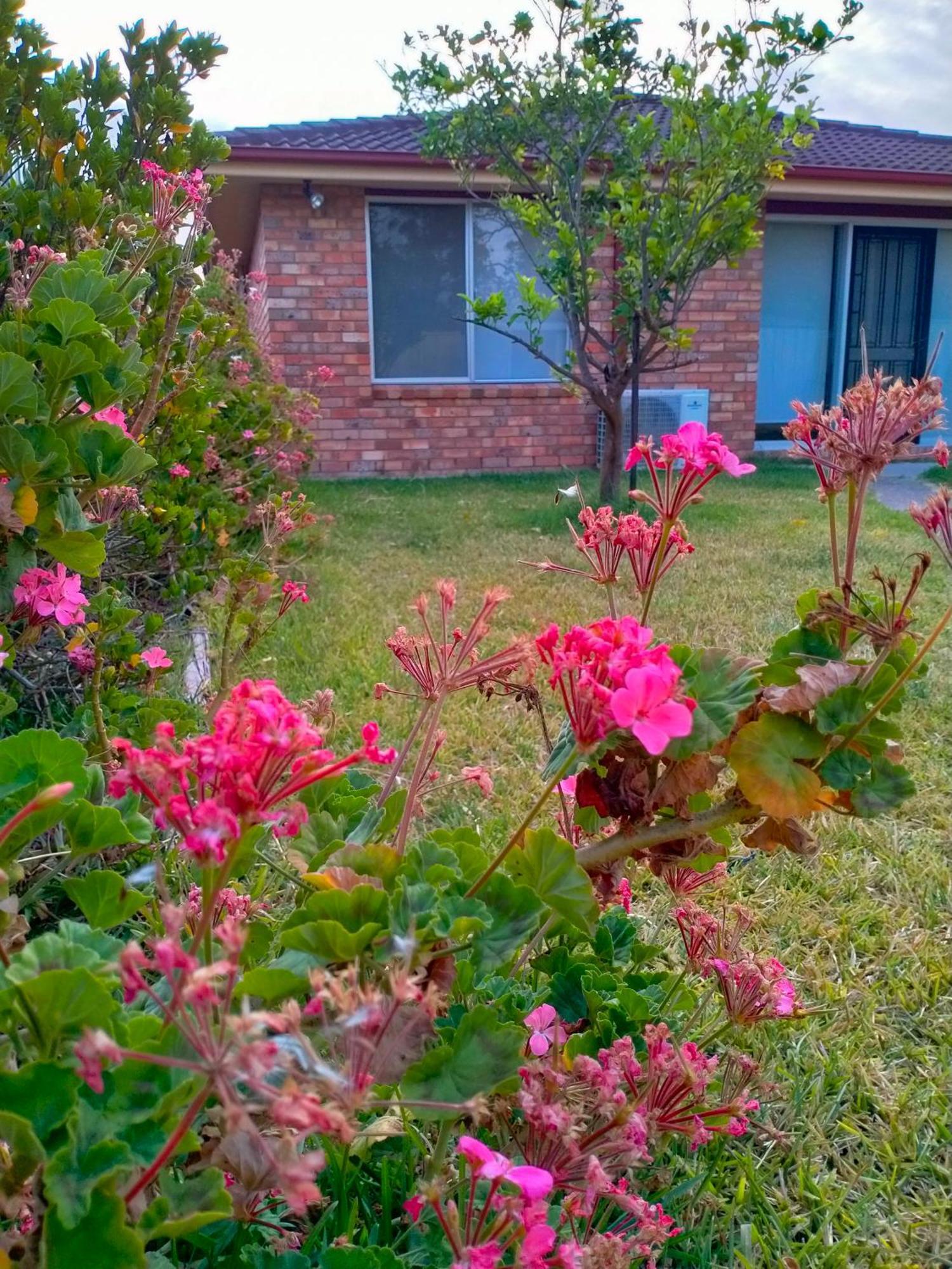 4 Bedroom, 3 Bath In Nsw, Free Wifi Internet, Free Parking Holiday home *